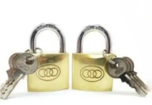 PADLOCK BRASS STD 25MM