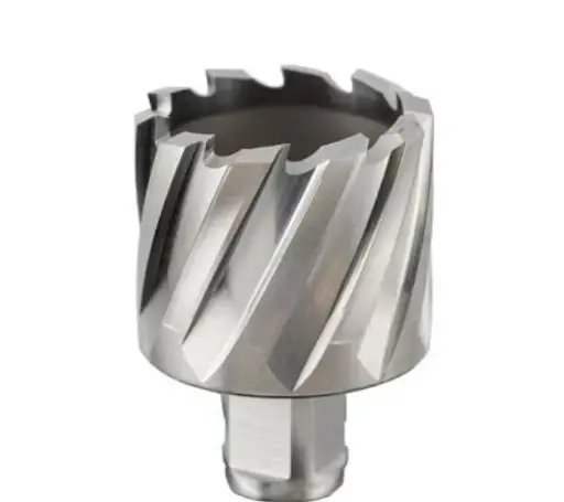 EUROBOOR SLUGGER BIT 19x30MM